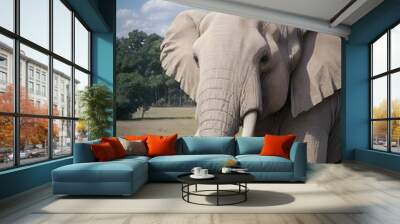 a nice elephant  Wall mural