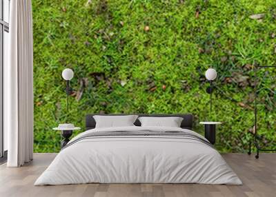 Grass and moss ground texture Wall mural