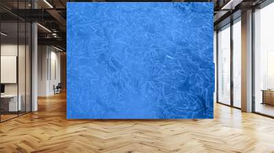 beautiful shapes on blue river ice background Wall mural