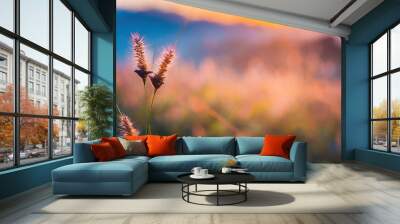 Close up of grass flower in the field at sunset. Beautiful nature background. Wall mural