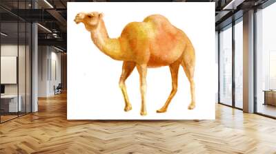 watercolor illustration of a camel, isolated drawing from the hand of a desert animal Wall mural