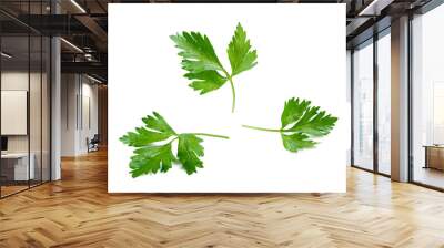 celery leaves in a group isolated white background Wall mural