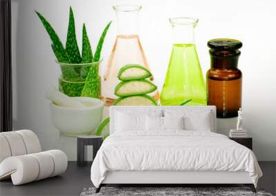 Aloe vera hair and facial treatment recipe. Wall mural