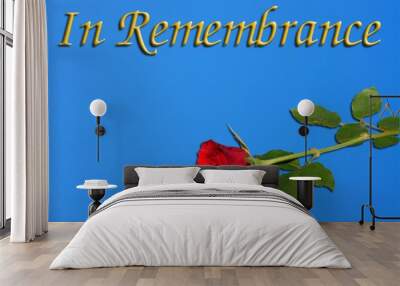 A single red rose and the words In Remembrance against a plain blue background Wall mural