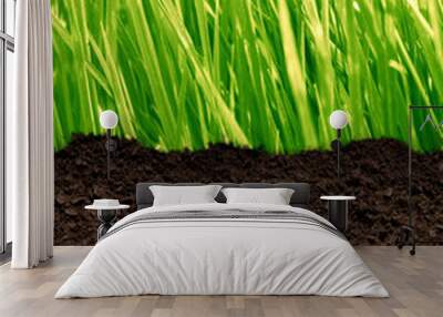 grass and soil Wall mural