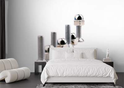 Chrome bolts with spherical nut Wall mural