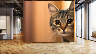 Curious tabby cat with wide eyes looking through a wooden door, capturing a playful and intriguing moment in a cozy home setting. Wall mural