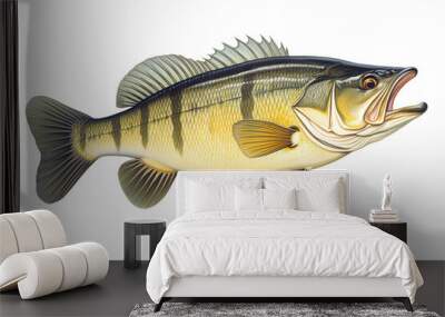 Portrait. of a largemouth bass fish isolated on a white background Wall mural