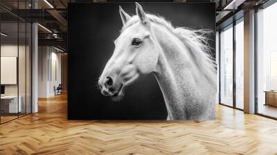 Elegant White Horse Portrait Wall mural