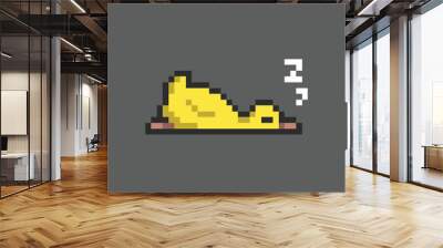 this is Duck in pixel art with colorful color and black background ,this item good for presentations,stickers, icons, t shirt design,game asset,logo and your project. Wall mural