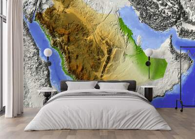 Shaded relief map of Saudi Arabia Wall mural