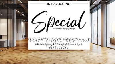 Special Font Stylish brush painted an uppercase vector letters, alphabet, typeface Wall mural