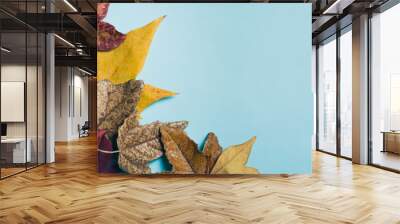 dry autumn leaves on a light blue background Wall mural