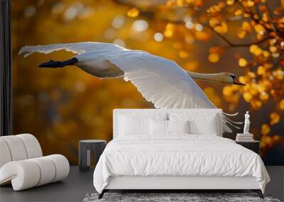 White Swan Soaring Against Autumn Leaves Wall mural