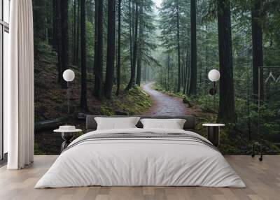 A winding path through a dense, misty forest Wall mural