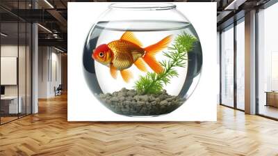 Goldfish on a foshbowl Wall mural