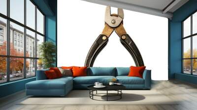 Plier Tool Isolated Wall mural