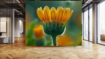 A Single Yellow Flower Bud with Green Stem and Delicate Petals Wall mural