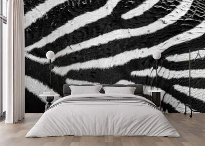 Close-up of Zebra Stripes with Visible Fur Texture Wall mural