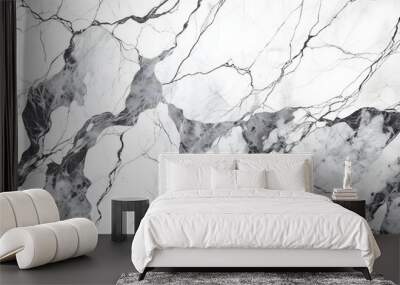 Close-up of white marble surface featuring intricate black veining, providing a luxurious and elegant texture ideal for backgrounds or designs.
 Wall mural