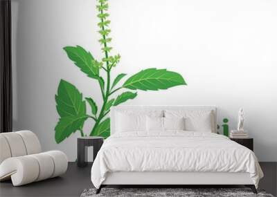 Vector illustration, leaf of Tulsi or holy basil (Ocimum tenuiflorum), a plant for ayurvedic medicine. Wall mural