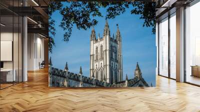 St. Paul's Cathedral is a Cathedral of Anglican background noted for its Gothic architecture at Kolkata ( Calcutta ), West Bengal, India Wall mural