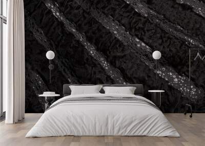 Texture black astrakhan fur skin. Background. Wall mural