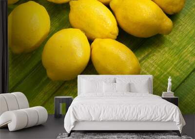 Lemons Wall mural