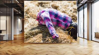 scarecrow Wall mural