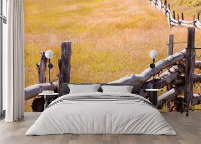 split rail fence Wall mural