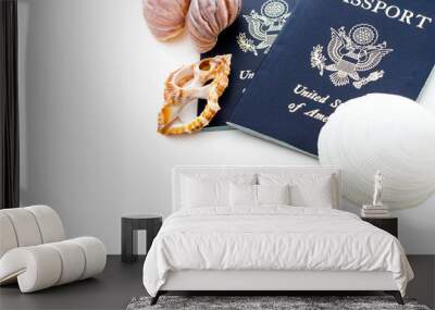 travel passport Wall mural