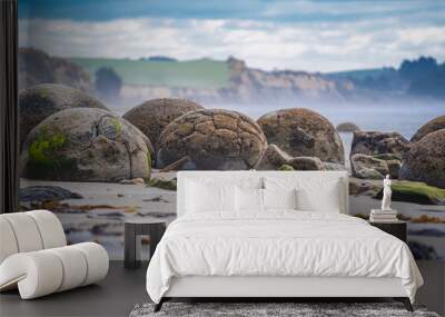  Moeraki Boulders On Otago coast Of New Zealand Wall mural