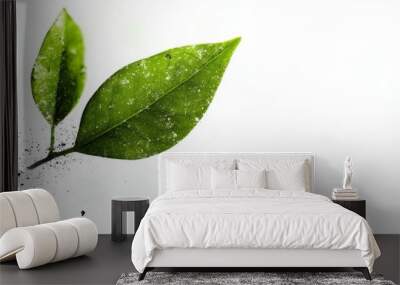 Two green leaves sprout from the ground against a white background. Wall mural