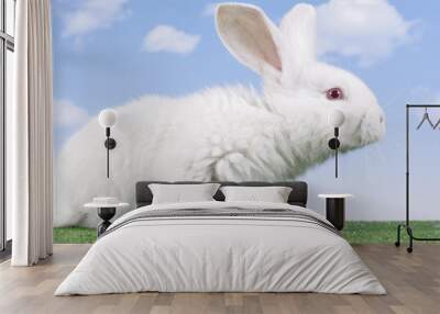 easter rabbit Wall mural