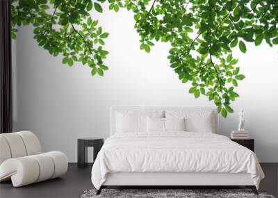 branch leaves or green leaf isolated. Tree Leaf Frame Wall mural