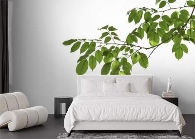 branch leaves or green leaf isolated. Tree Leaf Frame Wall mural