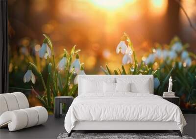 Snowdrops in Golden Sunlight Wall mural