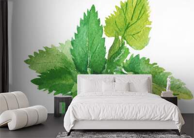 Watercolor melissa. Melissa officinalis Wall mural