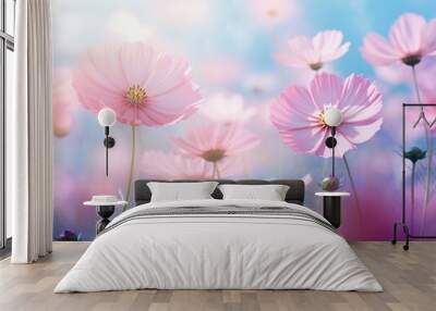 Cosmos flowers background, closeup with soft focus, blurred background Wall mural