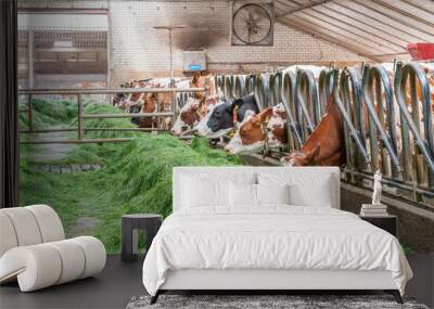 Cows in stable with fresh green grass to eat Wall mural