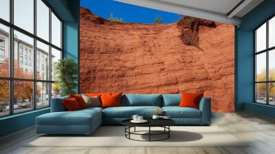 Lone pine on the top of bright orange ocher cliff on blue sky background  in the Colorado Provencal near village Roussillon  Provence, France Wall mural