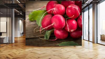 Large bunch of fresh radish. Wall mural