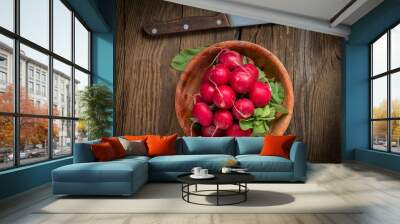 Large bunch of fresh radish. Wall mural