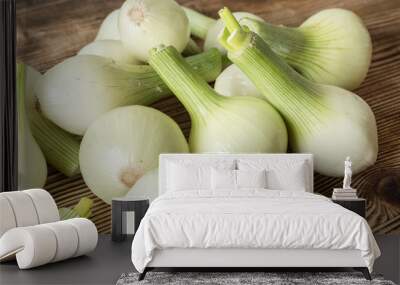 White young onion. Wall mural