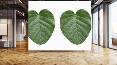 2 heart shaped green leaves isolated on white background Wall mural