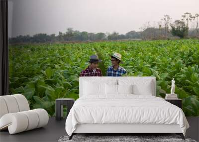 Two Asian male farmers holding a tablet examining the greenery of tobacco leaves. Check the yield to meet the standards of a young farmer growing tobacco and agribusiness concept. Wall mural