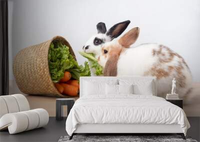 Two white cute rabbit eating green lettuce and carrot in the wooden basket on wooden table and white background. Rabbit like to eat vegetables but should not give too much. Wall mural