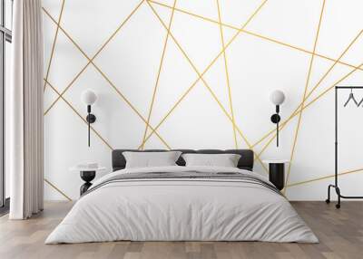 Abstract background with lines. Abstract white and gold colors with lines pattern texture business connection network background. White weave rectangle luxury banner line abstract background. Wall mural