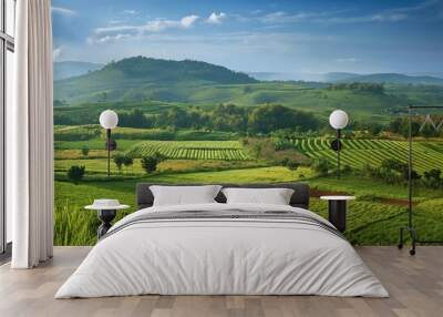 Lush green farm terraces spread across rolling hills with a blue sky above Wall mural