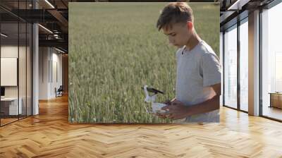 Young boy teenager flying a modern drone control on a sunny day in a wide open wheat field technologically advanced Wall mural